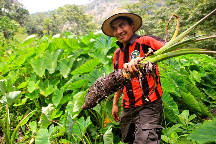 A farmer holding a root vegetable.