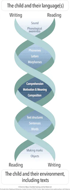 Vertical diagram of double helix with writing on one strand and reading on the other.