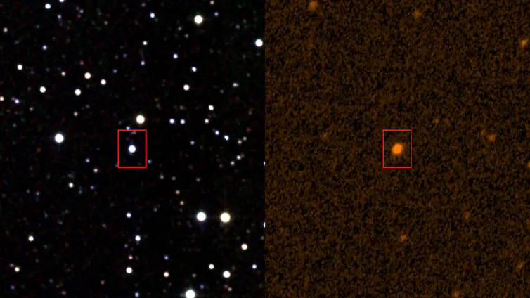 Image of Tabby's Star in infrared and ultraviolet.