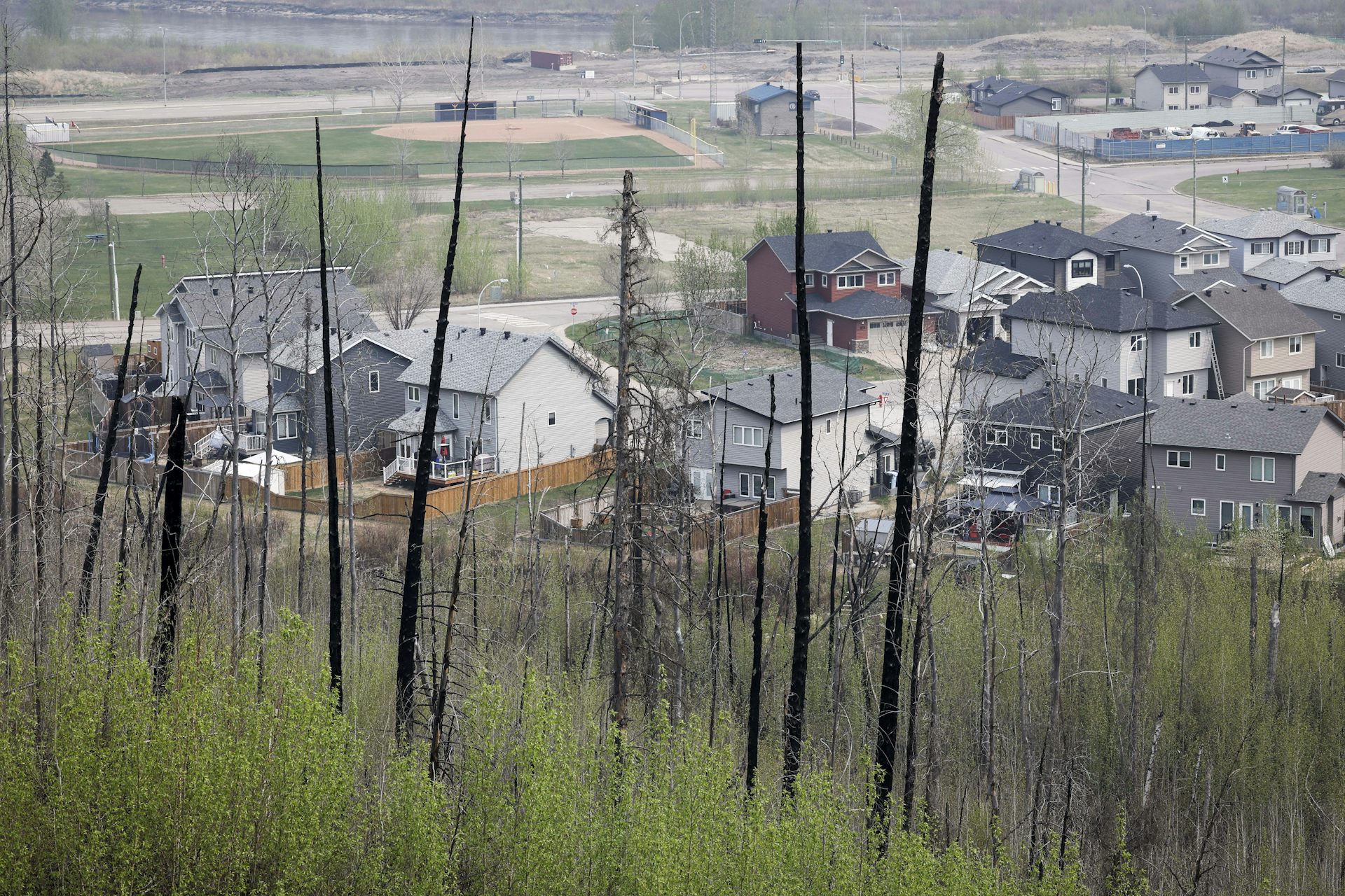 Residences are bordered by burned trees
