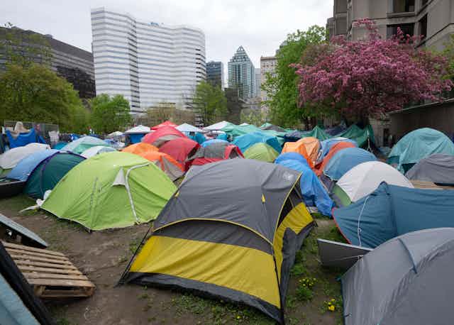 Dozens of colourful tents with city buildings and a flowering tree in the background. 