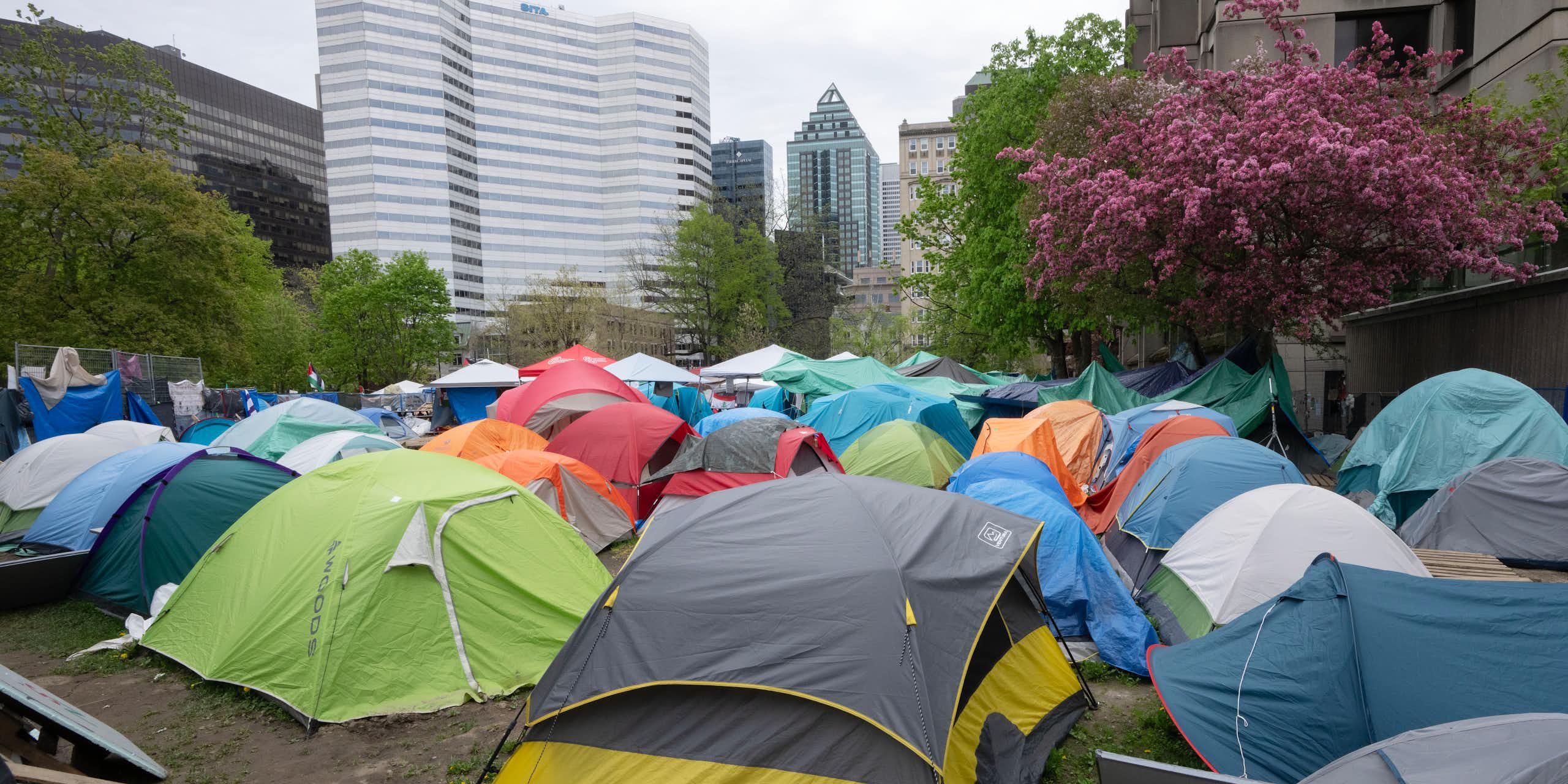 Dozens of colourful tents with city buildings and a flowering tree in the background. 