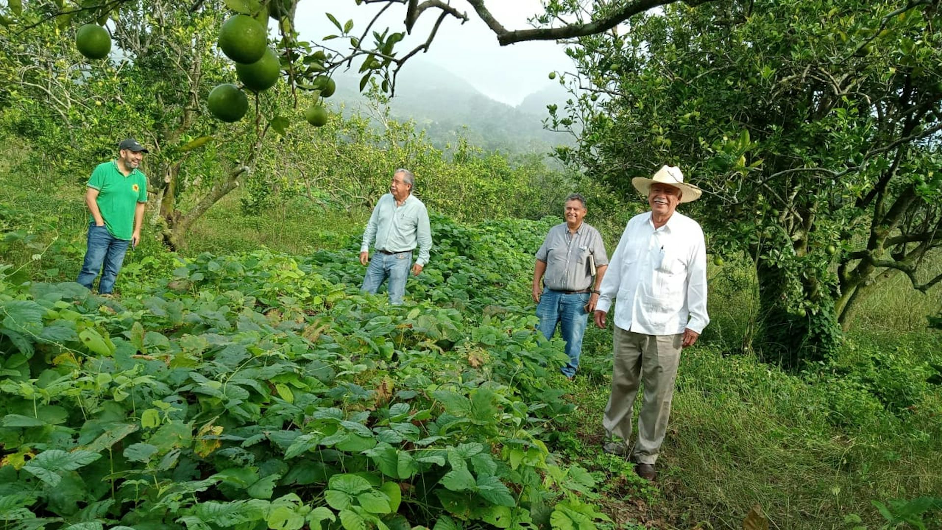 A group of men stand in a farm field.