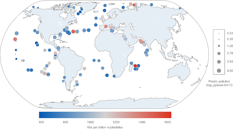 This graph shows that locations with more plastic pollution do not necessarily have higher amounts of enzymes for plastic degradation.