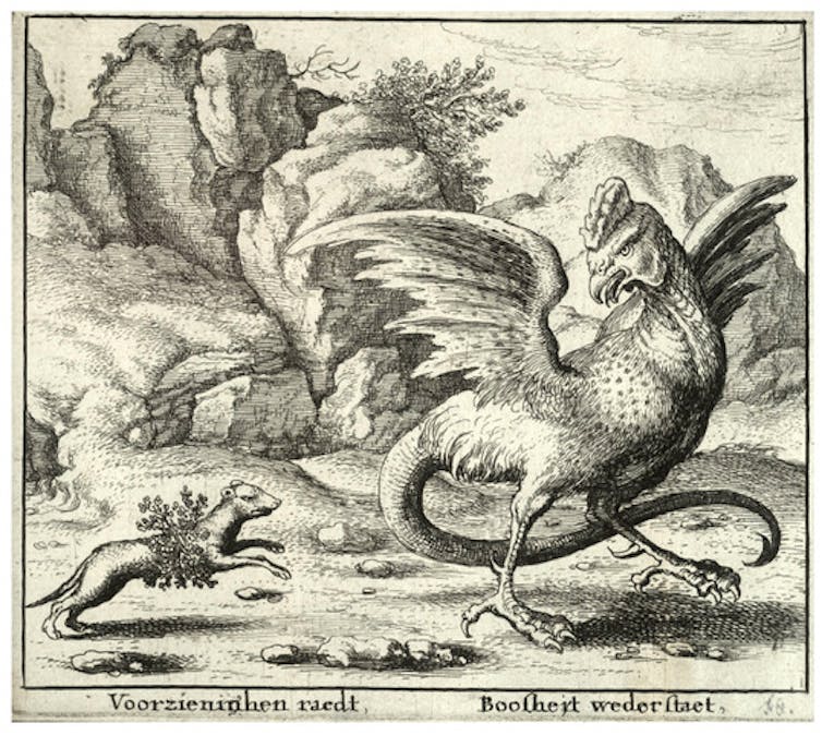 17th century etching showing a weasel and a basilisk in conflict