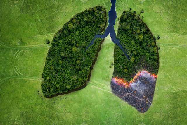 A concept image of two woodlands shaped like human lungs burning in one corner.