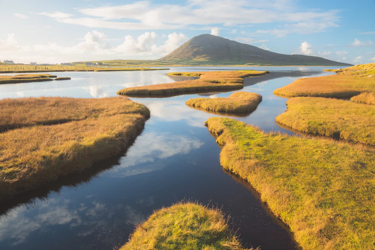 saltmarsh with hill in background
