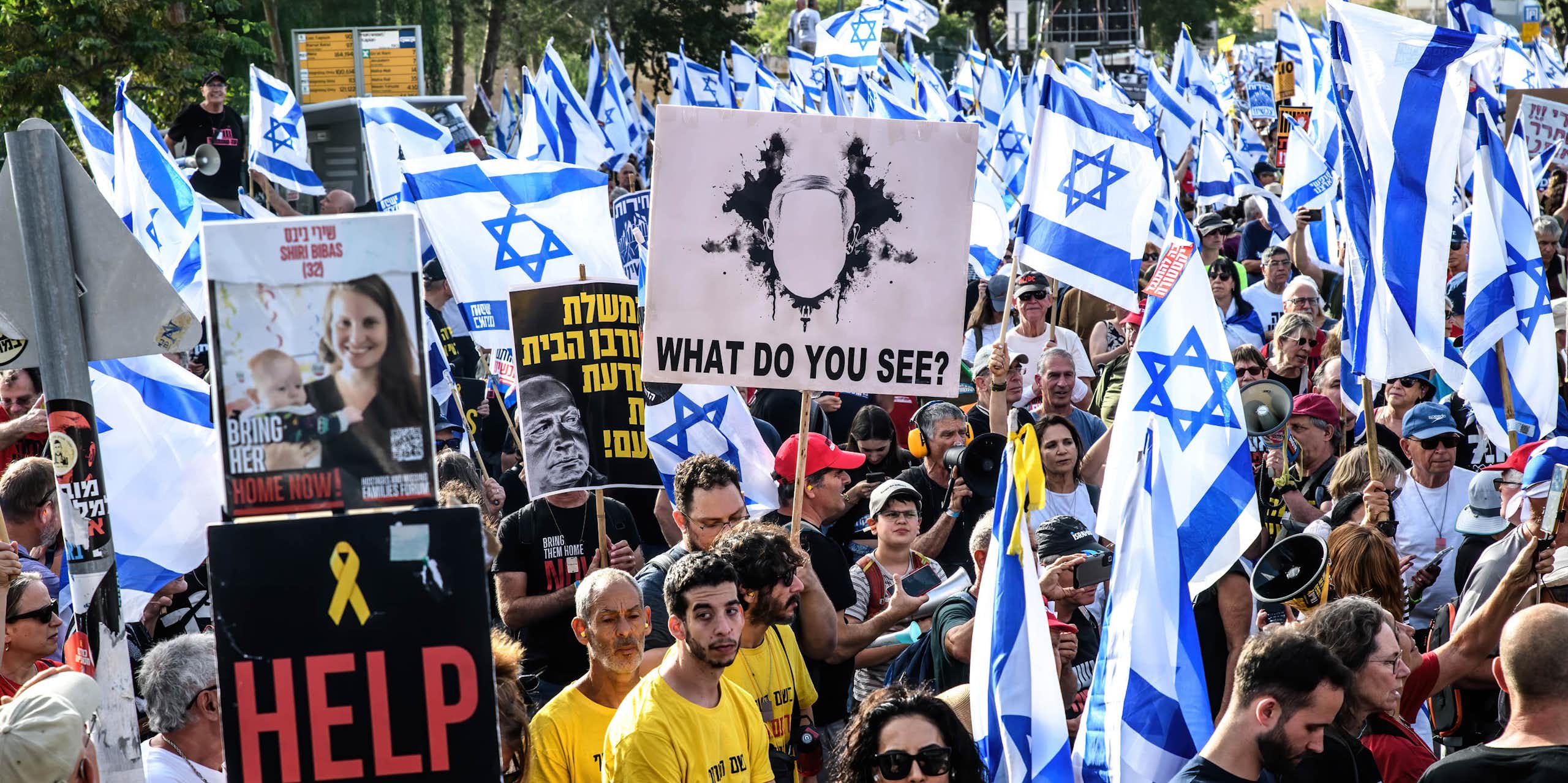 A large crowd of people stand in the streets and hold Israeli flags and signs that say 'Help' and an image of. man's head with the words 'What do you see?'