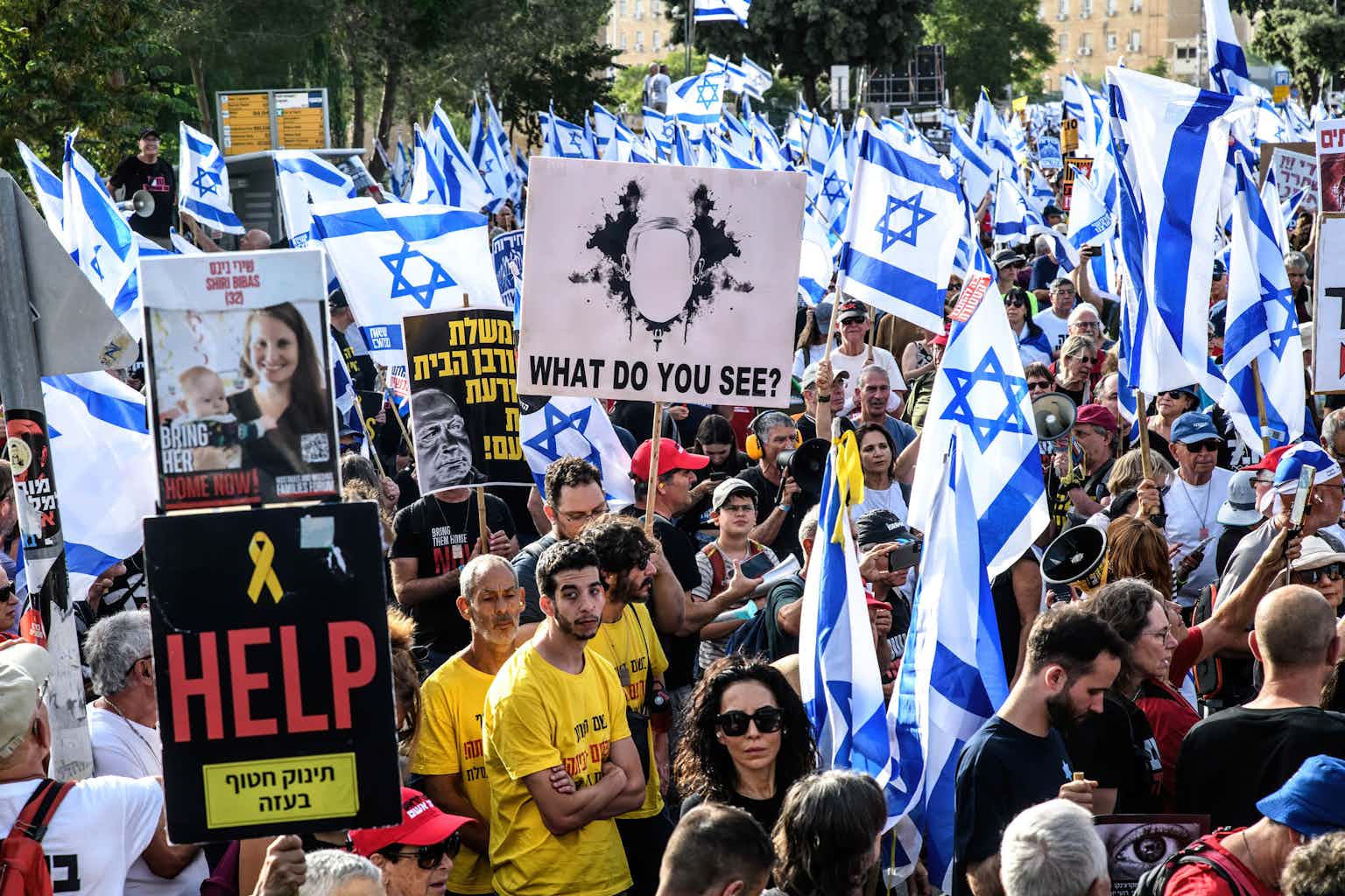 A large crowd of people stand in the streets and hold Israeli flags and signs that say 'Help' and an image of. man's head with the words 'What do you see?'