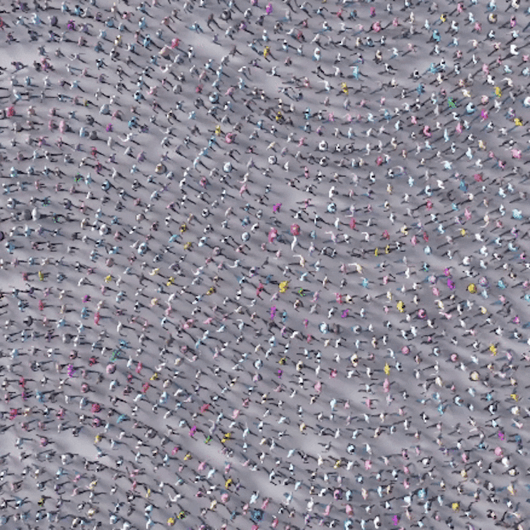 People walking, seen from above.