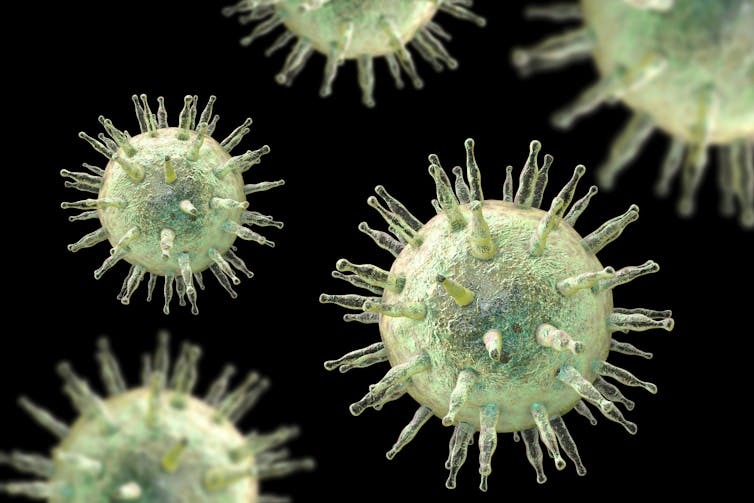A digital drawing of what Epstein-Barr virus would look like under a microscope.