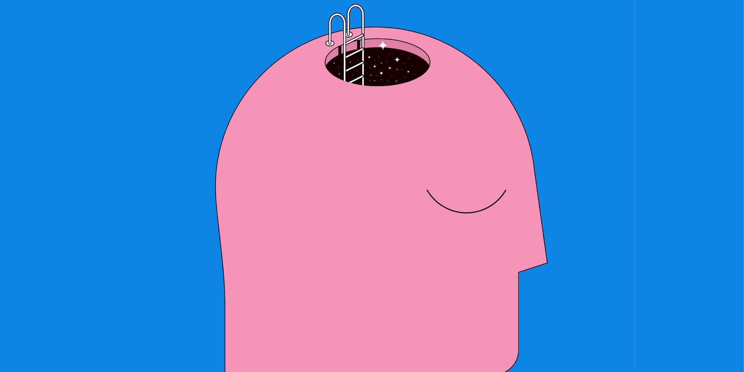 Illustration of a head with a hole in the top and a ladder leading inside. 
