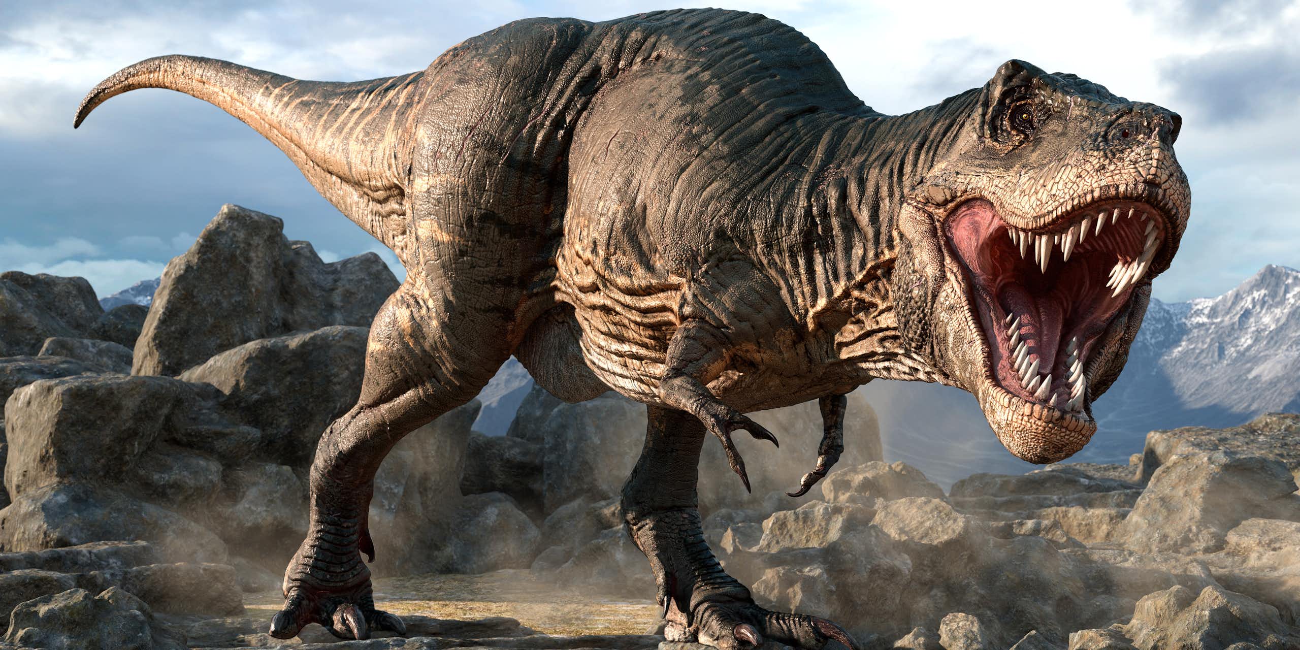 Illustration of a tyrannosaurus.