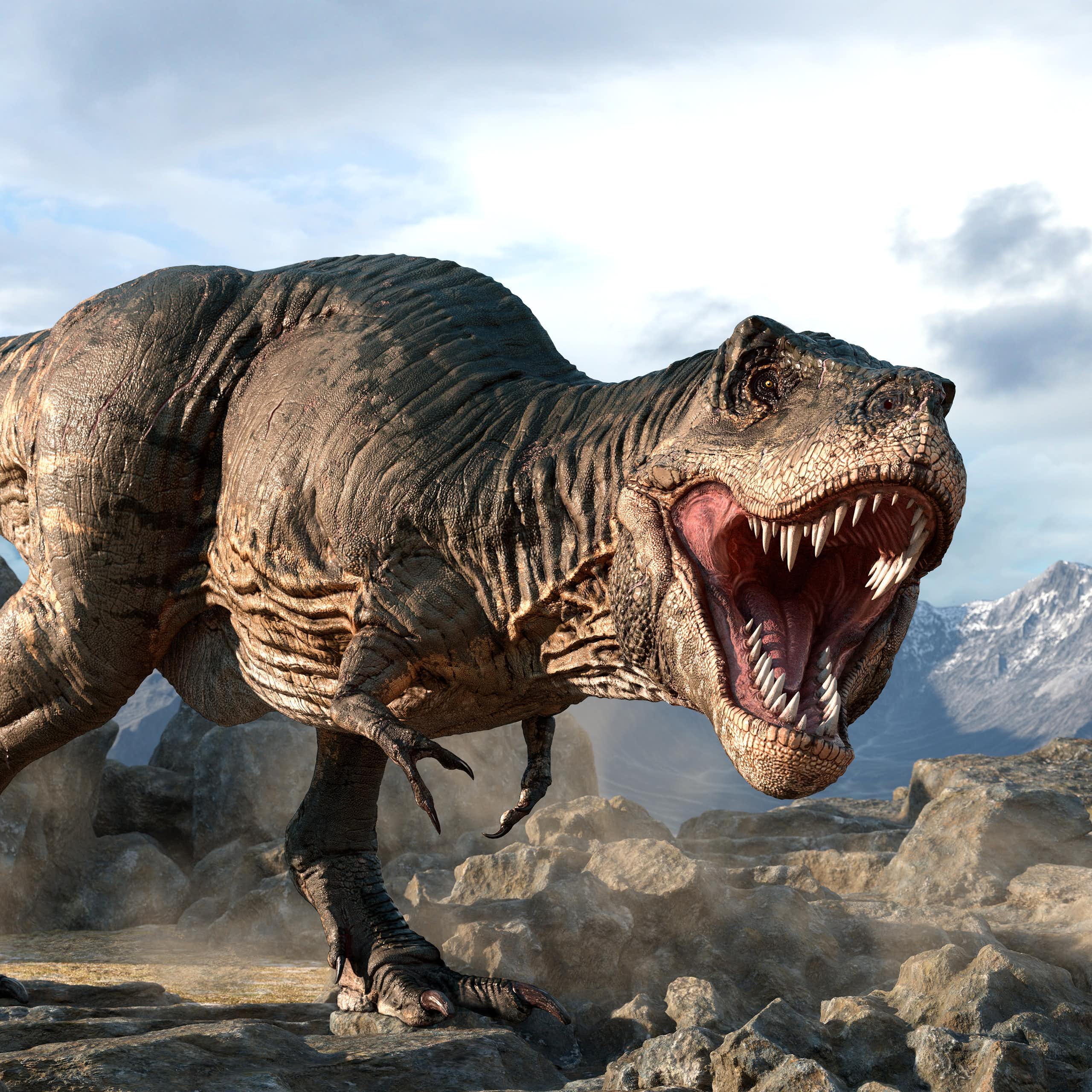 Illustration of a tyrannosaurus.