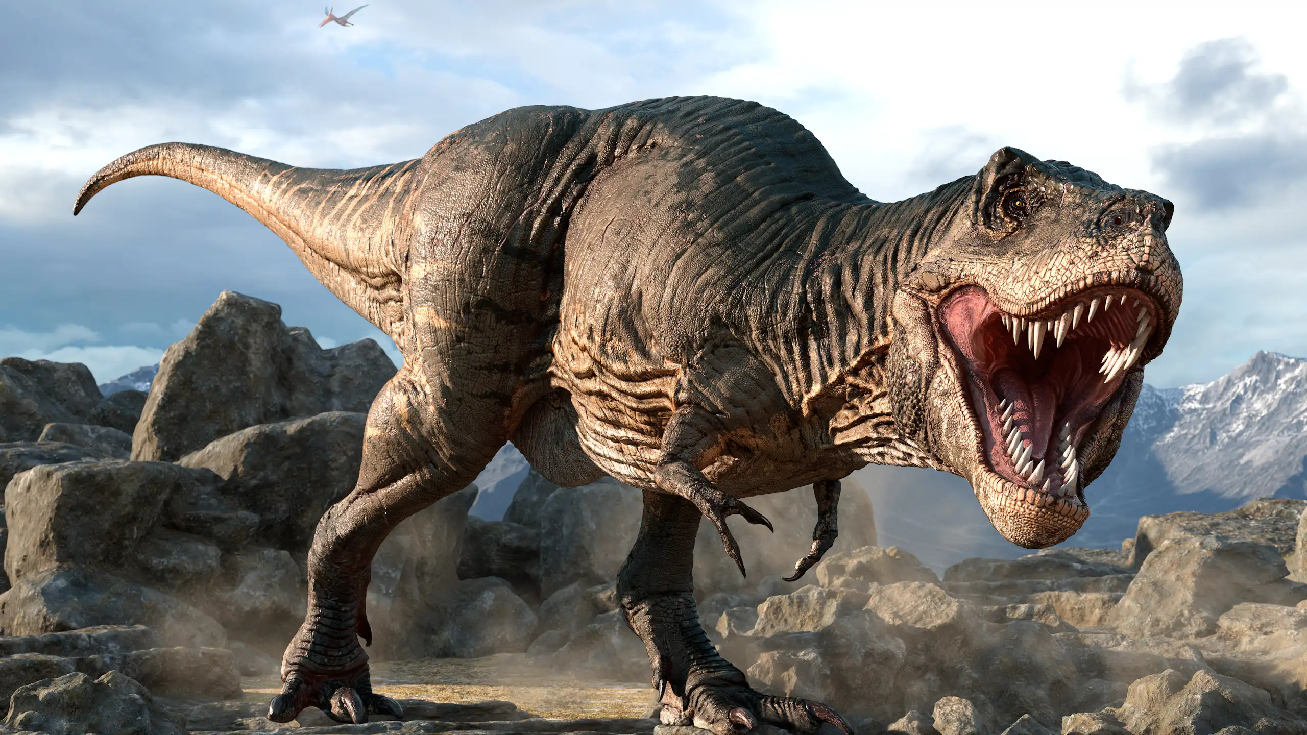 Illustration of a tyrannosaurus.