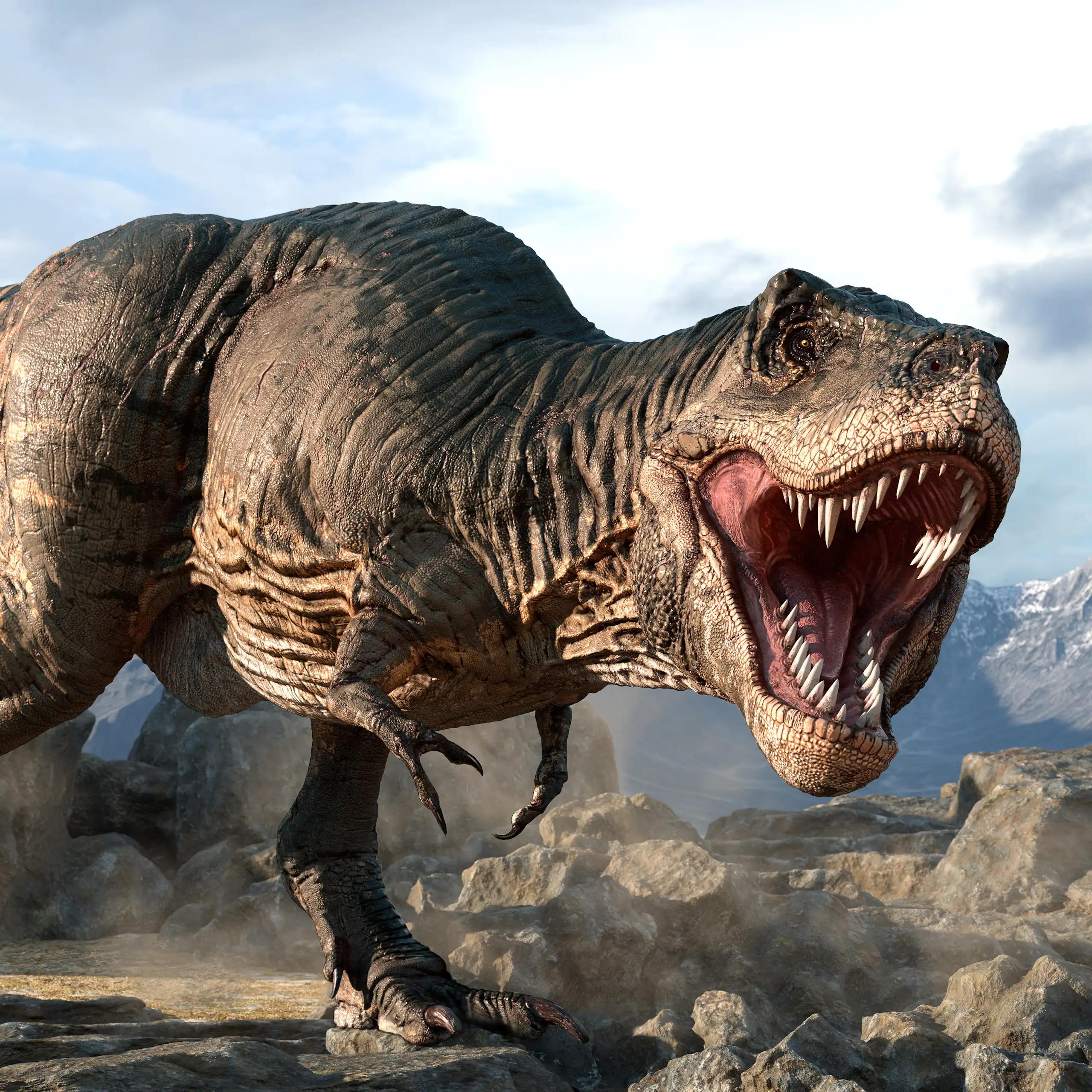 Illustration of a tyrannosaurus.