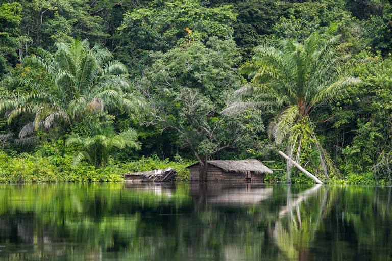 A small building made of wood and grass at the edge of a water body, with dense forest in the background