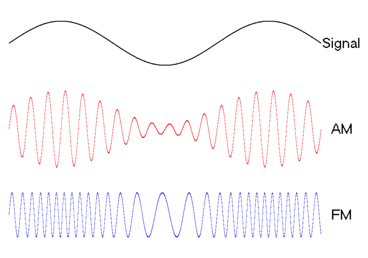 Animated diagram showing a signal wave (gentle hills and valleys), AM waves (more waves fit the shape of hills and valleys), and FM waves (clusters of waves that spread out slightly in the valleys of the signal).
