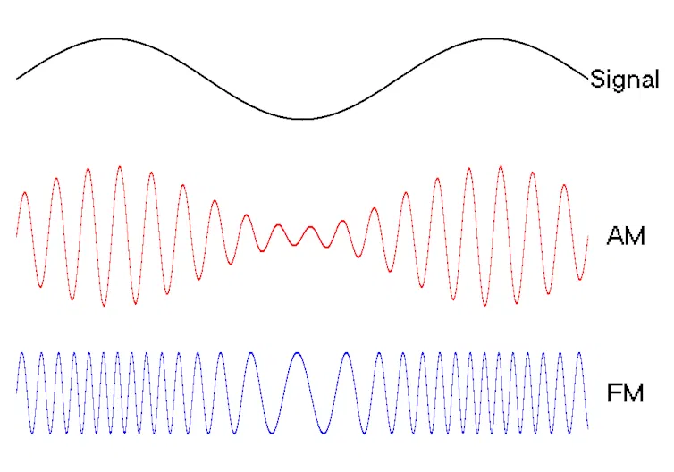 Animated diagram depicting a signal wave (smooth hills and valleys), AM waves (more waves fit into the shape of hills and valleys) and FM waves (clusters of waves that spread apart slightly at the valleys of the signal)
