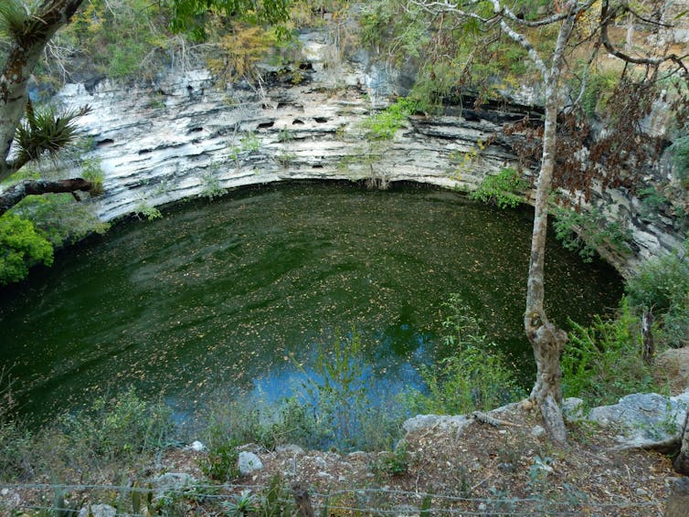 A deep circular pool of dark water with green tree leaves floating on top.