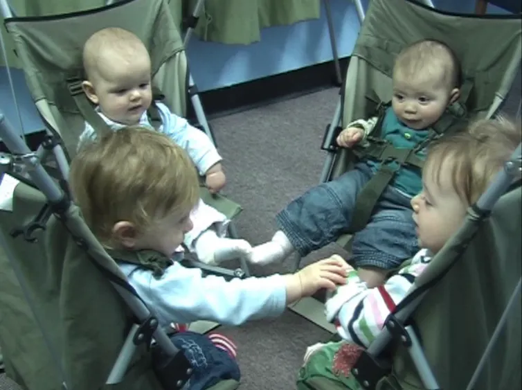Four babies sit in chairs facing each other. They look, touch and gesture towards each other.