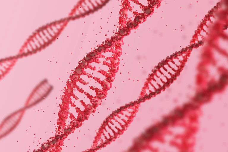 A digital drawing of DNA strands.