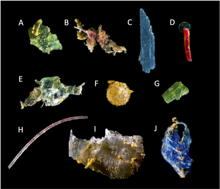 fragments de microplastiques