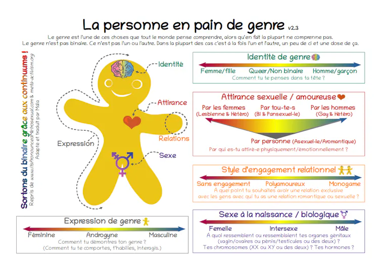 Modèle collaboratif exposant genre, sexe, orientation sexuelle…