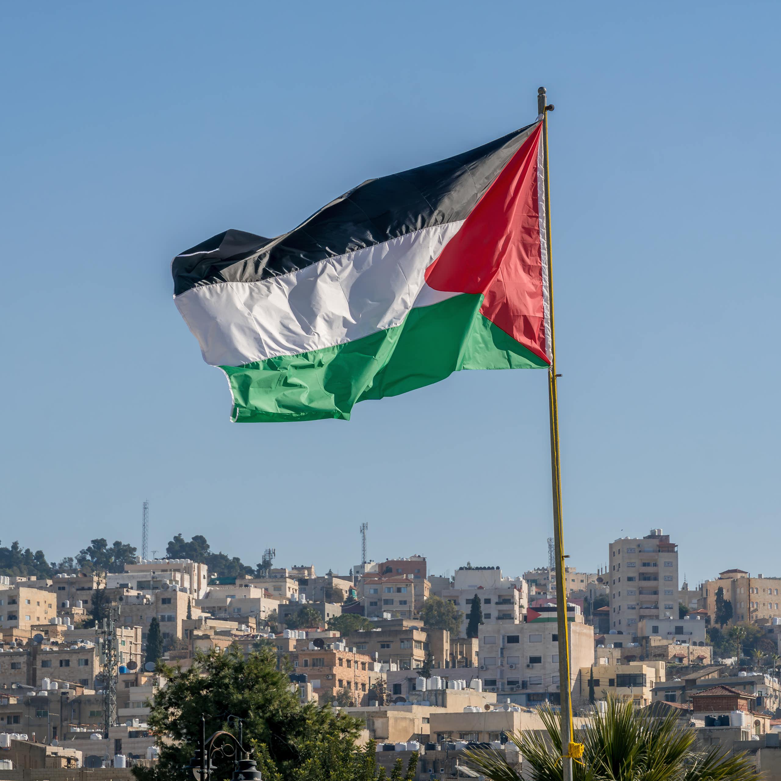 Palestinian flag flying above city horizon