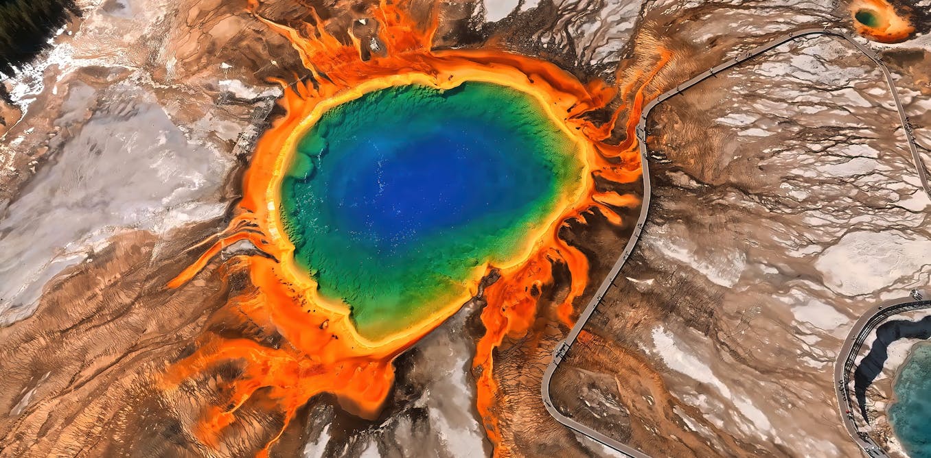 Cómo empezó la vida en la Tierra?