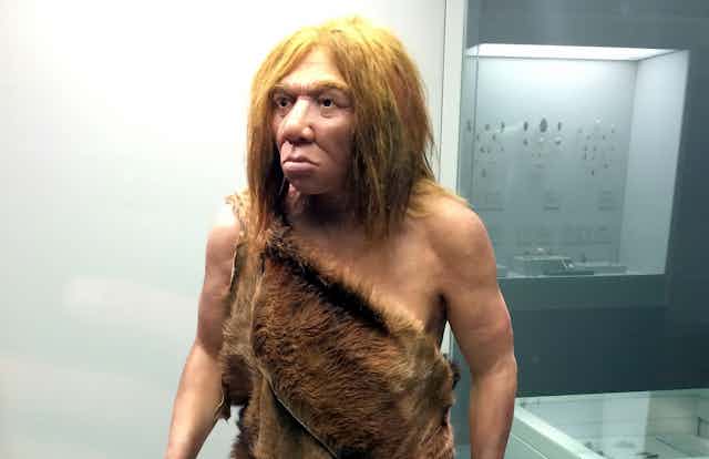 Reconstrucción del aspecto físico de un hombre de Neandertal.