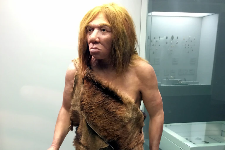 Reconstrucción del aspecto físico de un hombre de Neandertal.
