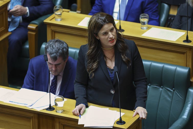 Nicola Willis speaking to parliament