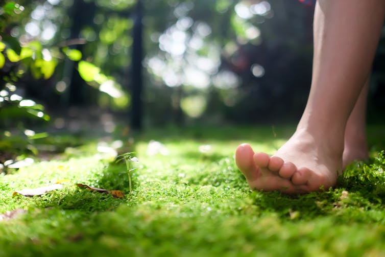 bare foot on mossy green grass