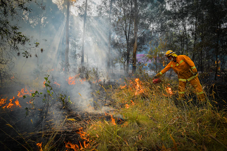 Person wearing hi-vis protective clothing while lighting a cool burn west of Corryong, Victoria.