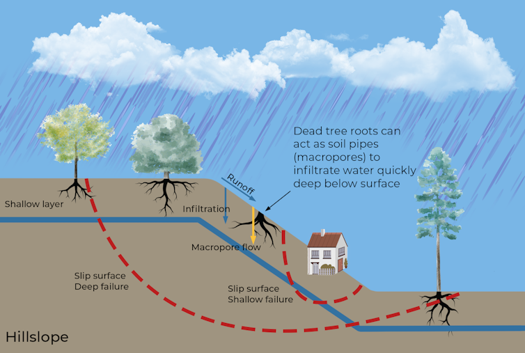 figure showing how rain can waterlog soil and make landslides more likely