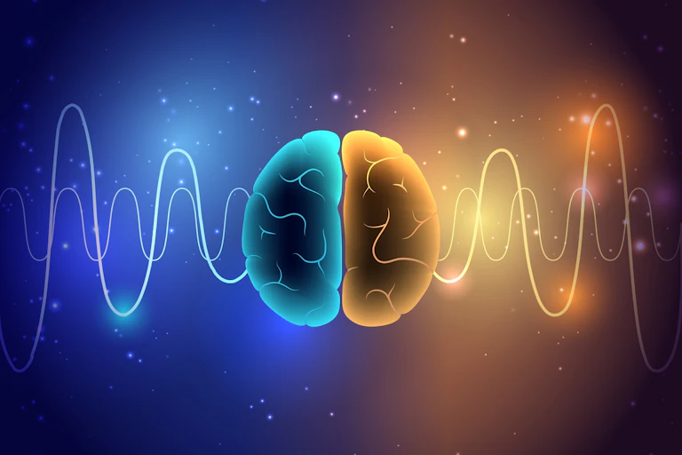 A digital drawing of the human brain.