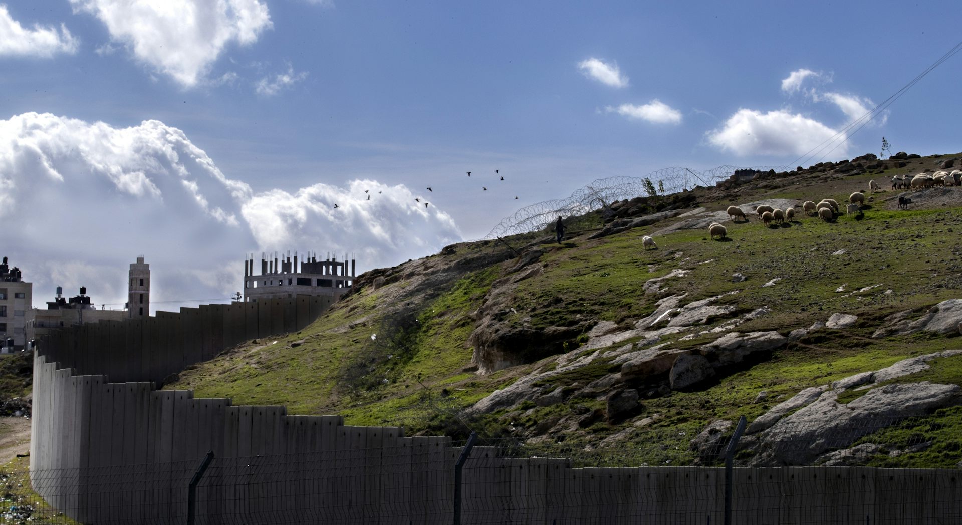 A separd walking with his flock of sheep in a green field next to a large wall.