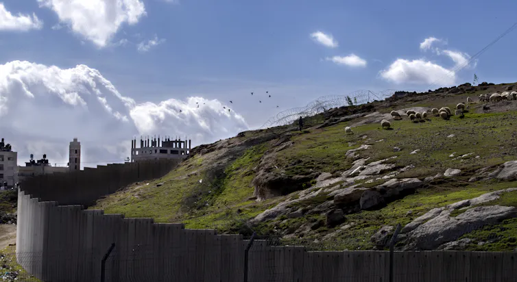 A separd walking with his flock of sheep in a green field next to a large wall.