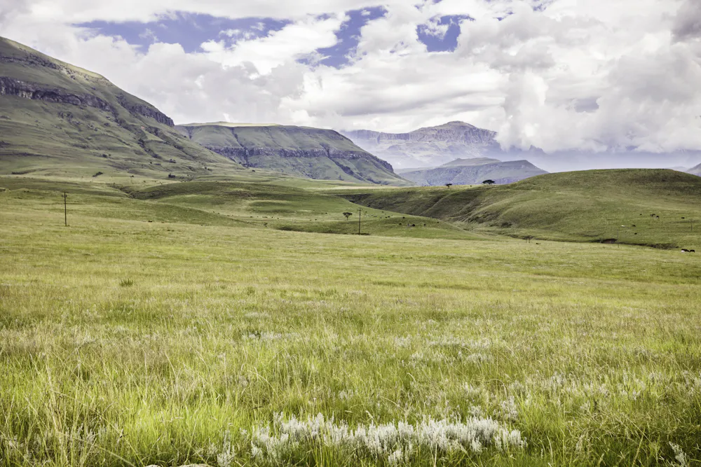 Grassland Rocks South Africa: new Drakensberg nature reserve will protect ancient rock ...