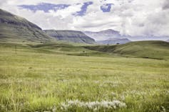 A huge grassy area with very high mountains in the background