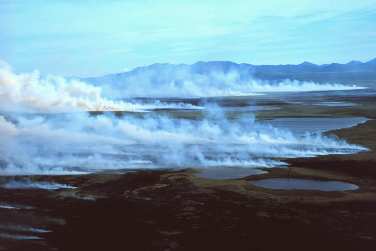 Tundra on fire, mountains in background