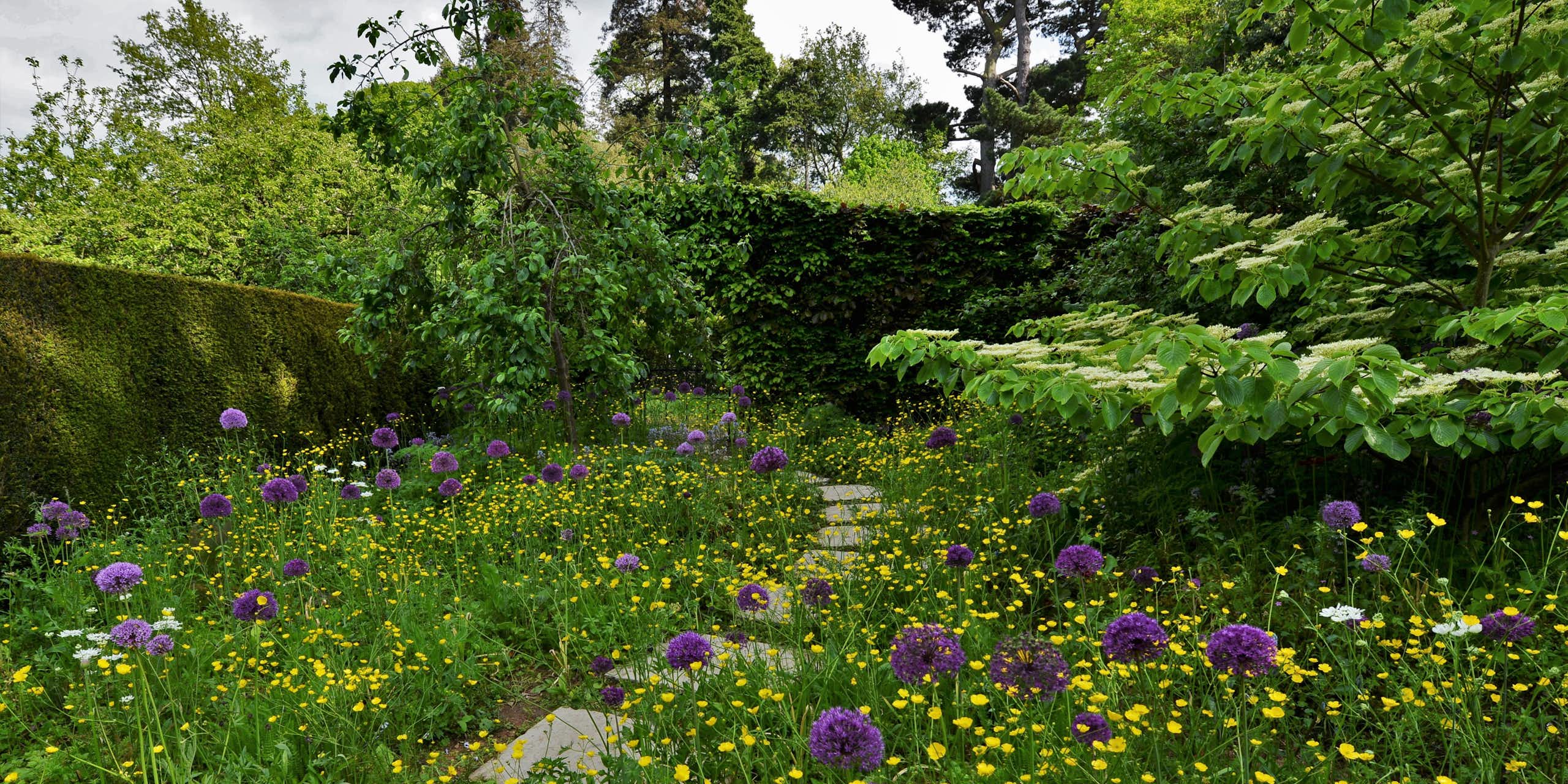 A garden with trees and wildflowers.