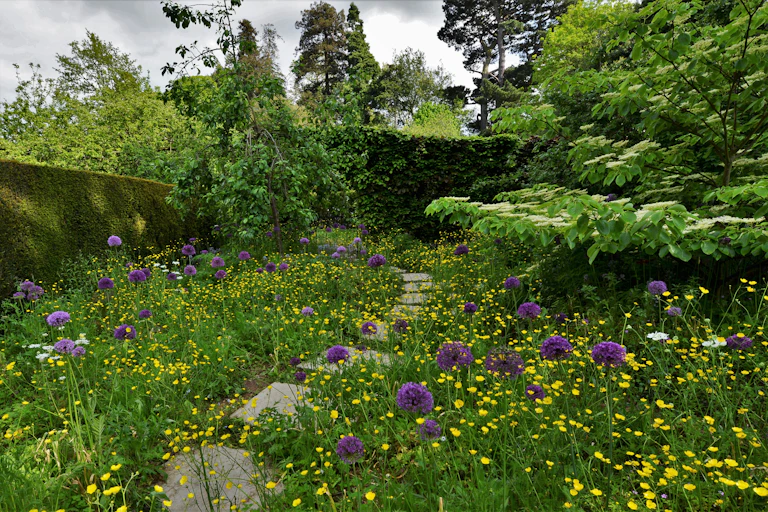 A garden with trees and wildflowers.