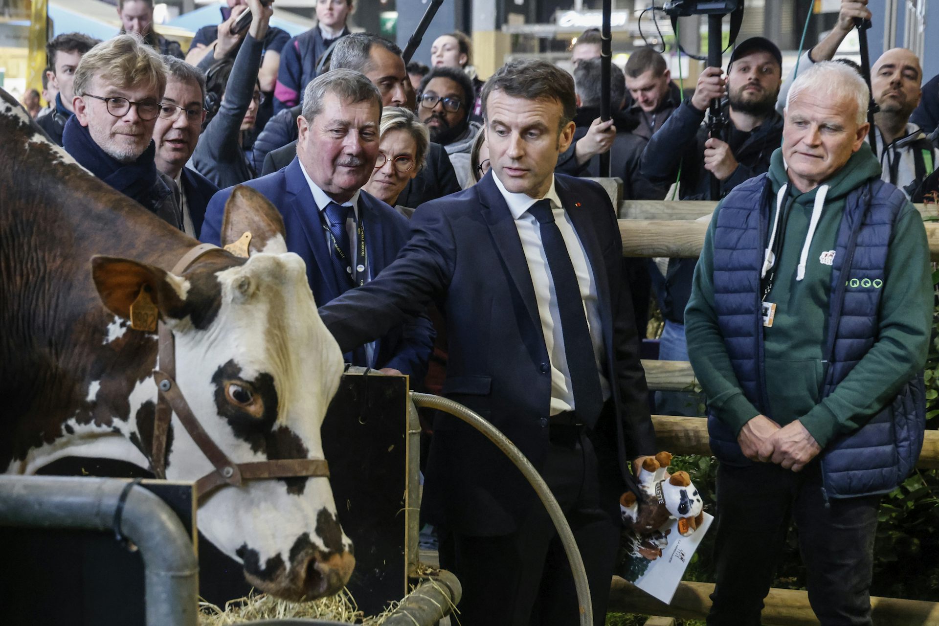 Le président Macron caresse une vache. Il est entouré d’hommes