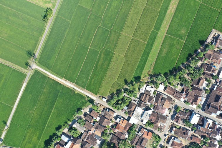 aerial photograph showing land used for both housing and agriculture