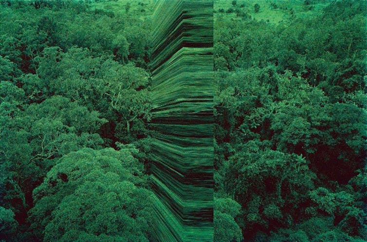 Glitches in greenery.