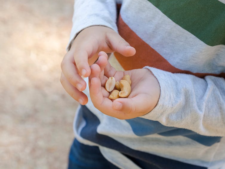 A boy's hand is holding some peanuts.