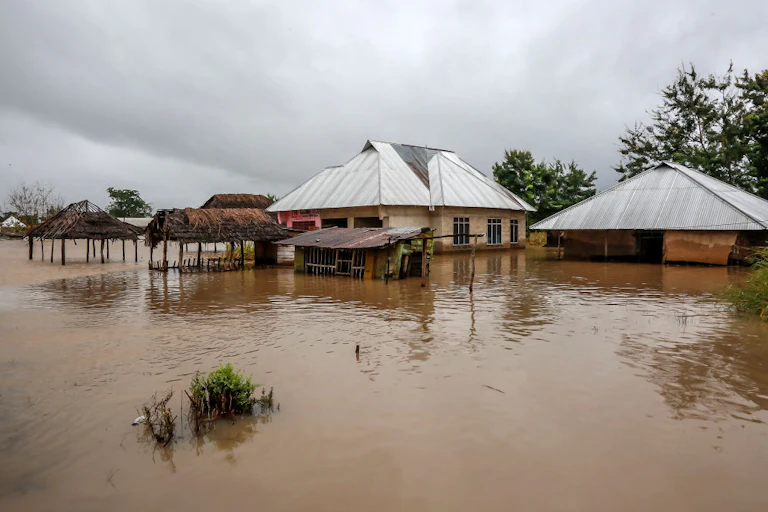 Tin-roofed homes marooned by knee-high flood water with no one in sight.