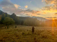 A person walks in a wild and grassy area with mountains in the background as the sun sets